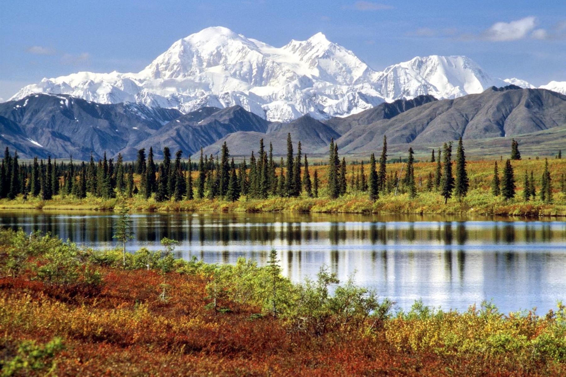 Mckinley Creekside Cabins Denali Park ภายนอก รูปภาพ